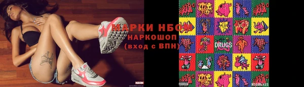 твердый Осинники