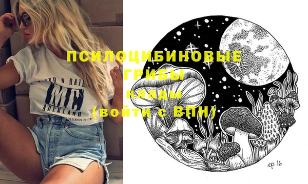 СК Магас