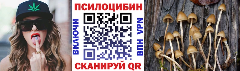 Псилоцибиновые грибы Cubensis  маркетплейс наркотические препараты  Суровикино 